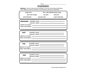 Amphibians Worksheet