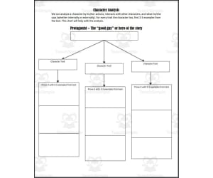 Analysis: The Protagonist