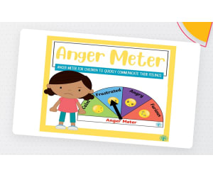 Anger Meter