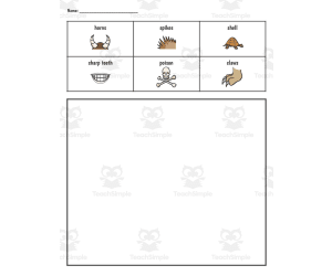 Animal Adaptation Activity