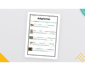 Animal Adaptations Worksheet – Elementary Science