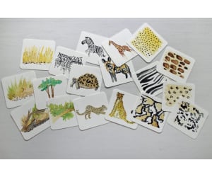  Animal Camouflage Matching Set