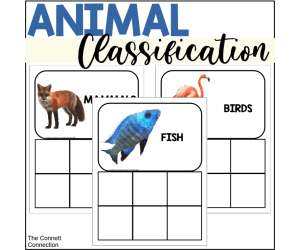 Animal Classification Sort