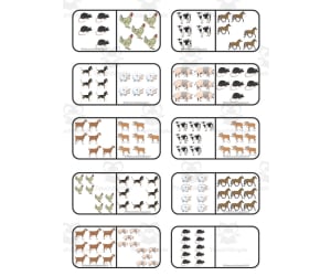 Animal Dominoes Game
