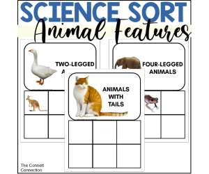 Animal Features Sort