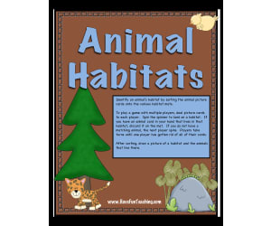 Animal Habitats Activity - Freshwater, Grasslands, Forest, Ocean