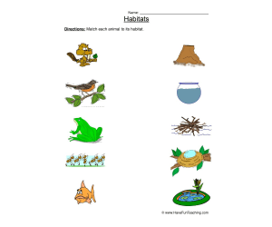 Animal Habitats Matching Worksheet