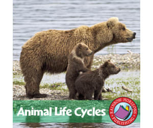 Animal Life Cycles Gr. 2-3