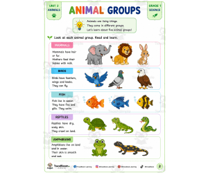Animal Science Activities for Grade 1 | Printable Animal Workbook