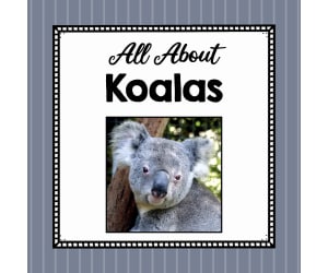 Animal Science Unit | All About Koalas | Learning about Animals