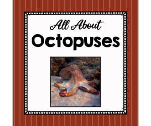 Animal Science Unit | All About Octopuses | Learning about Animals
