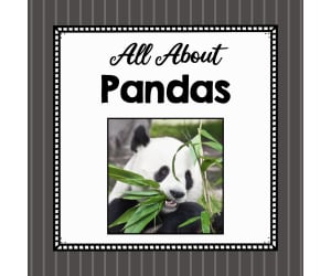 Animal Science Unit | All About Pandas | Learning about Animals