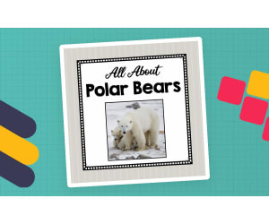 Animal Science Unit | All About Polar Bears | Learning about Animals