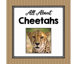 Animal Science Unit: Learning All About a Cheetah