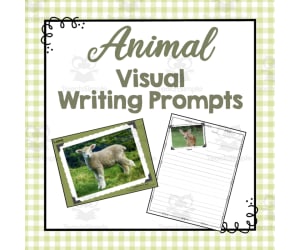 Animal Visual Writing Prompts | Photo Ideas | Writing Project
