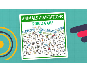 Animals Adaptations Bingo Nature Ecosystems Life Science Vocabulary