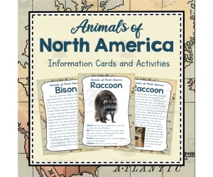 Animals of North America | North America Unit | Geography Bundle