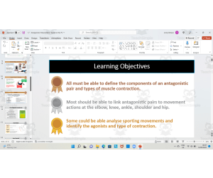 Antagonistic Muscle Pairs
