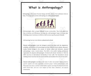 Anthropology Reading Passage