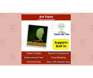 Ants | Interactive Science Lesson | Micro-Learning Deck