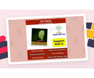 Ants | Interactive Science Lesson | Micro-Learning Deck