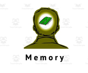AP Psychology: Memory and Emotion Lecture Bundle