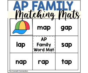 AP Words Matching Mats