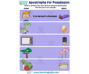 Apostrophe For Possession Activity