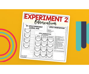 Apple Science Experiment - Observing Apples