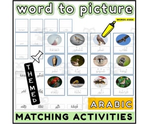 Arabic Word to Picture Activities Flashcards 1