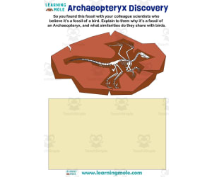 Archaeopteryx Discovery Activity
