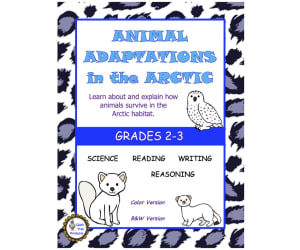 Arctic Animal Adaptations Worksheets