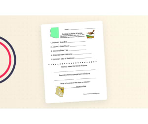 Arizona Worksheet