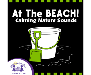 At The Beach Album of Songs