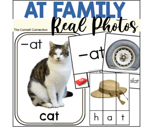 AT Word Family Activities with Real Photographs