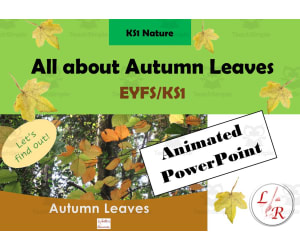 Autumn Leaves PowerPoint Ages 3 to 8