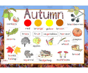 Autumn Word Mat Phonetically Coded