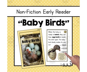 "Baby Birds" | Nonfiction Early Reader