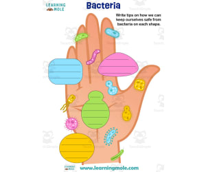 Bacteria Activity