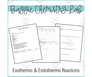 Baggie Chemistry Lab | Endothermic and Exothermic Reactions