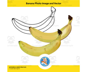 Banana Photo Image and Vector