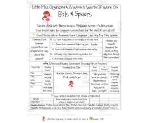 Bats and Spiders | Reading Activity Packet