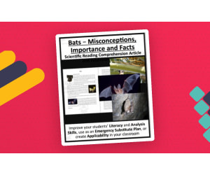 Bats Reading Comprehension Article