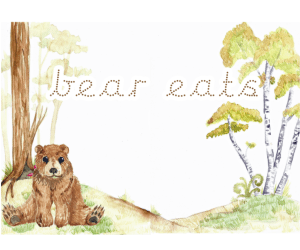 Bear Life Cycle Educational Poster