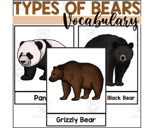 Bear Vocabulary Words - Types of Bears