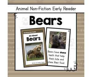 Bears Informational Book | Nonfiction Early Reader Animal Booklet