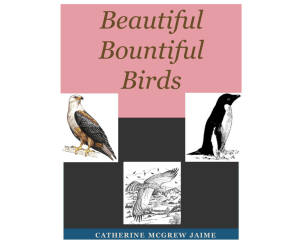 Beautiful Bountiful Birds