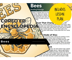 Bees Reading Comprehension Passage - Cored Ed Encyclopedia