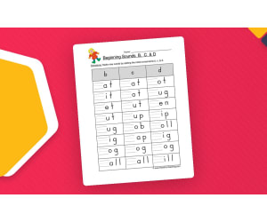 Beginning Sounds B C D Worksheet