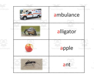 Beginning Sounds Match Cards | Letters A-F